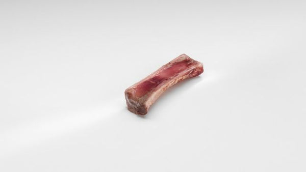 Tuétano Arturo Sánchez en Mugaritz