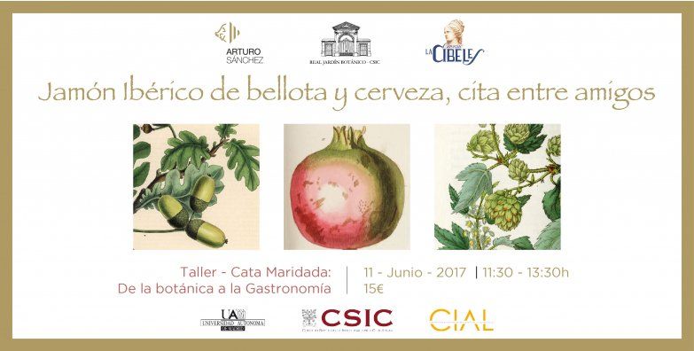 Curso Jamón Ibérico y Cerveza