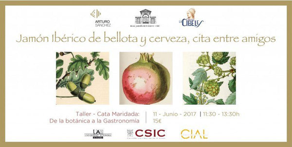 Curso Jamón Ibérico y Cerveza
