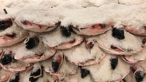 El salado del jamón