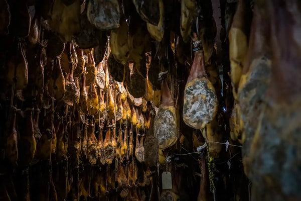 proceso de secado de jamon iberico en arturo sanchez