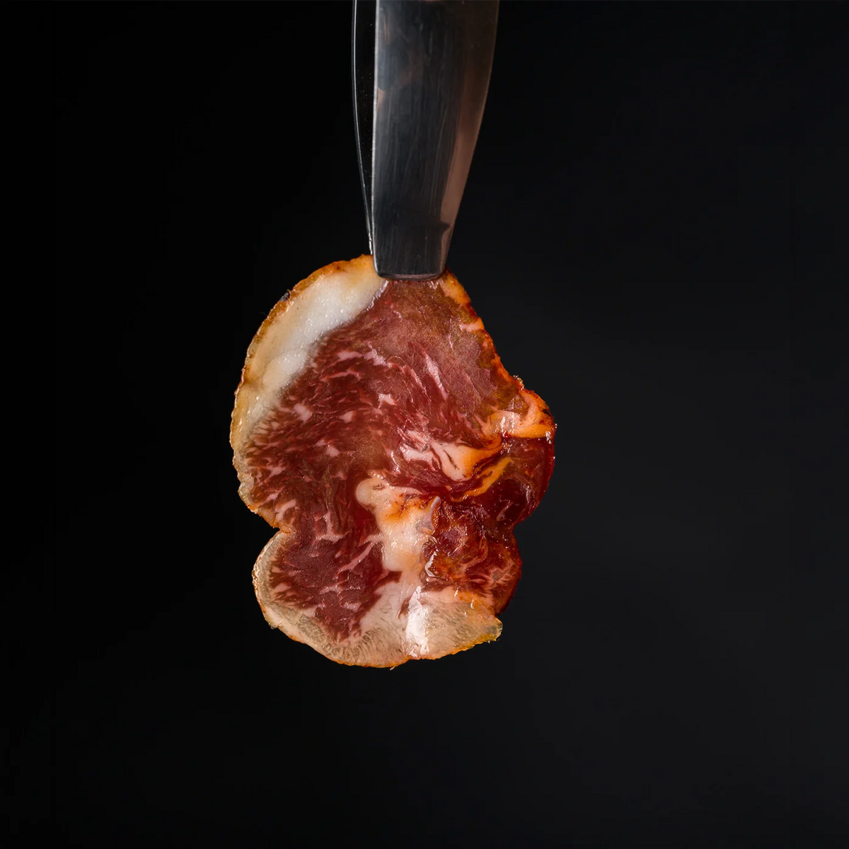 Lomito Arturo Sánchez 