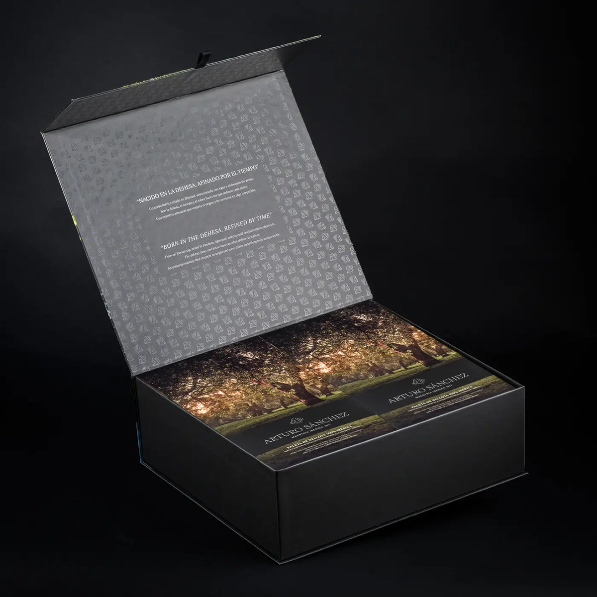 Estuche Paleta Arturo Sánchez