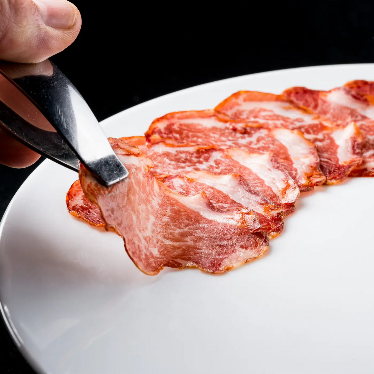 Lomito Arturo Sánchez 