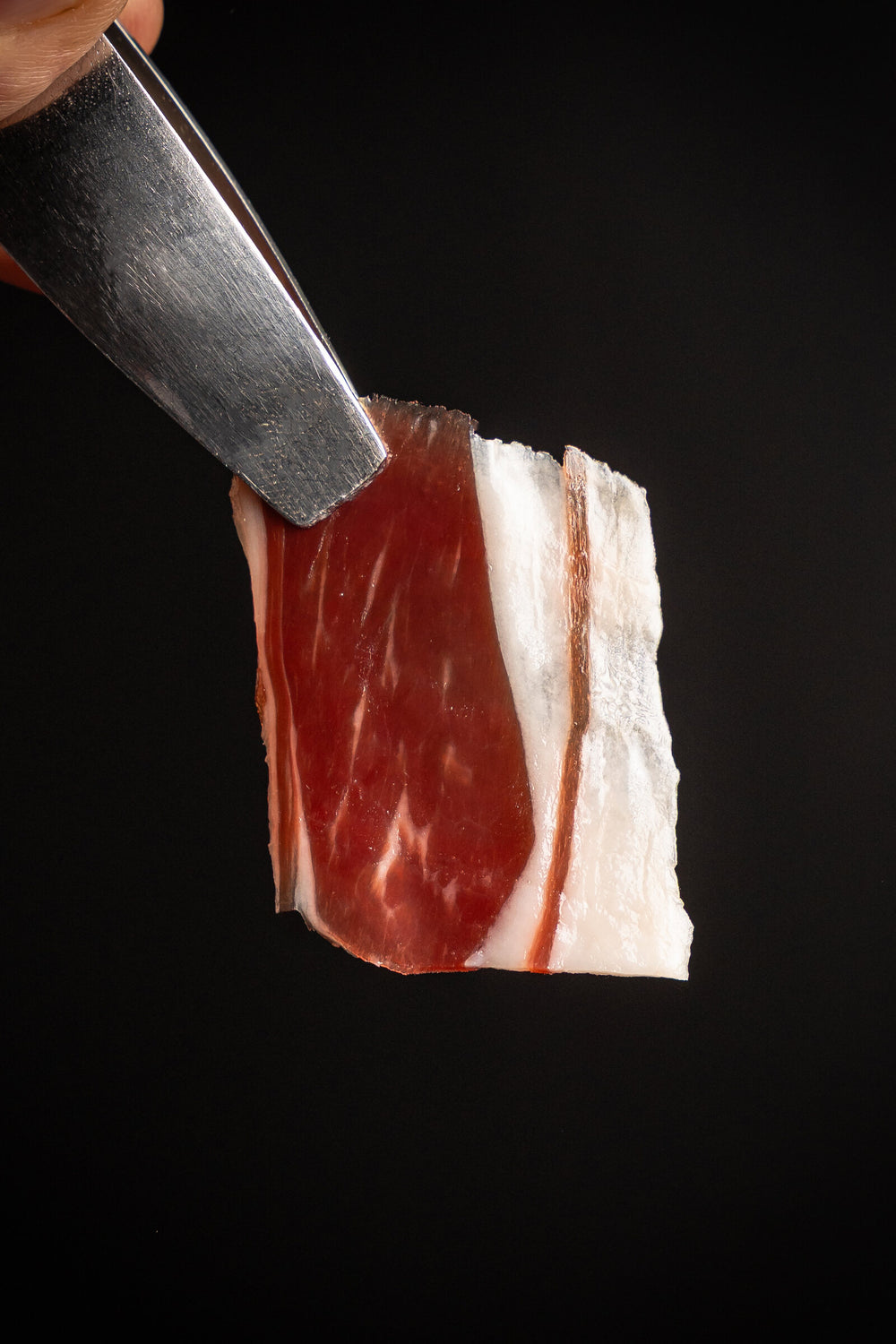 Loncha de paleta ibérica de bellota