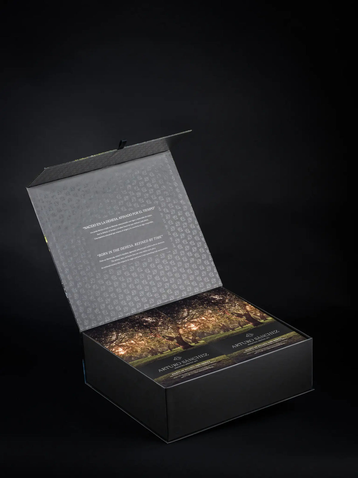 Estuche Paleta Arturo Sánchez