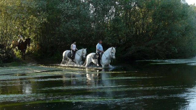 Planes en Salamanca: paseos a caballo por el Tormes