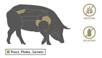 Presa, pluma secreto para hacer chorizo | Partes del cerdo