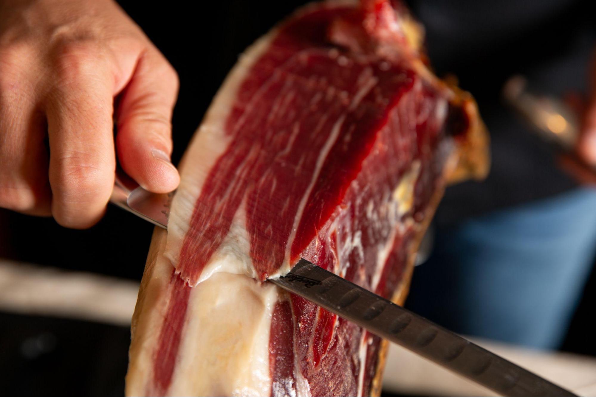 image2 - Arturo Sánchez